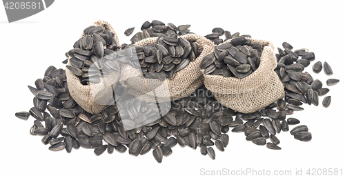 Image of sunflower seeds