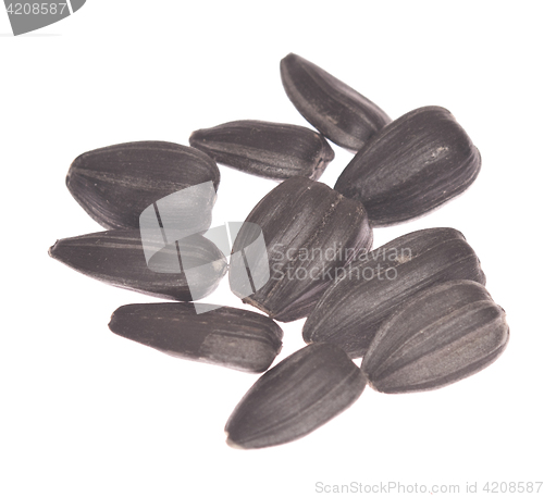 Image of sunflower seeds