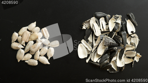 Image of sunflower seeds