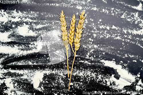 Image of wheat on black