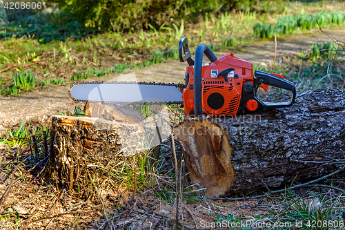 Image of Chainsaw