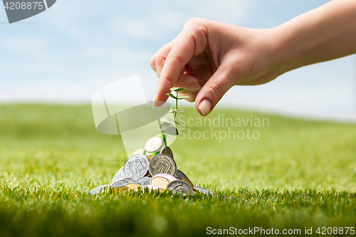 Image of Coins on grass