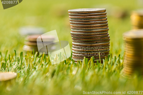 Image of The columns of coins on grass