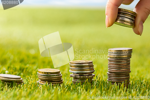 Image of The columns of coins on grass