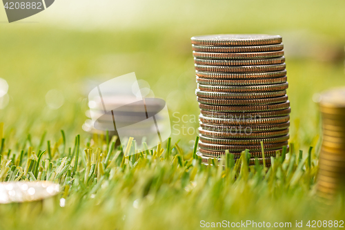 Image of The columns of coins on grass