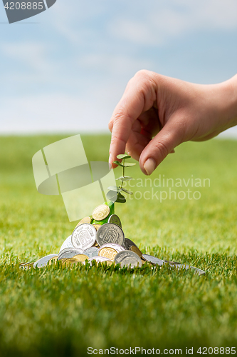 Image of Coins on grass