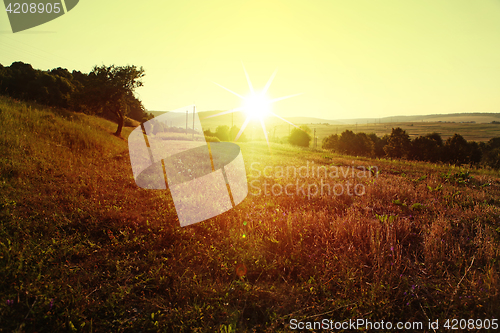 Image of meadow in rural areas