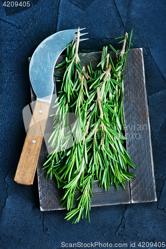 Image of rosemary