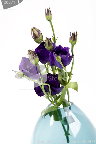 Image of Pastel flowers in vase
