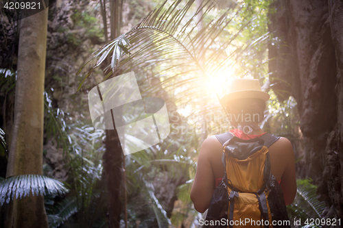 Image of Brunette among thickets of palms