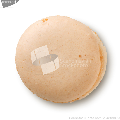 Image of Macaron on a white