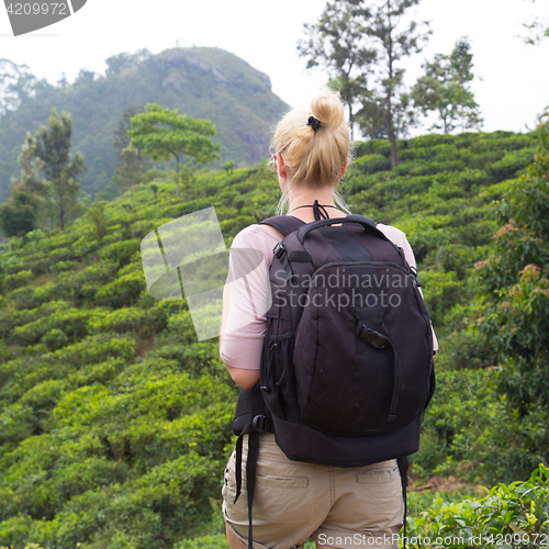 Image of Female tourist enjoying beautiful nature of tea plantations, Sri Lanka.