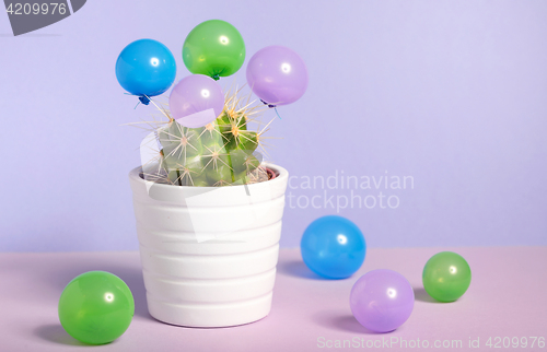 Image of Cactus in pot and small baloons