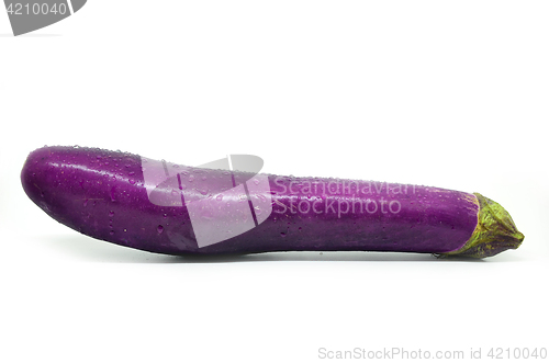 Image of Purple eggplant with water drop