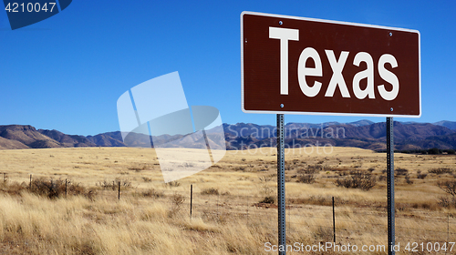 Image of Texas brown road sign