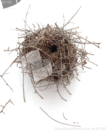 Image of Nest