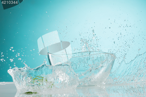 Image of The water splashing to glass bowl on white background