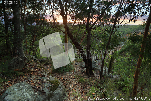 Image of Sunrise Glenbrook , Blue Mountains Australia