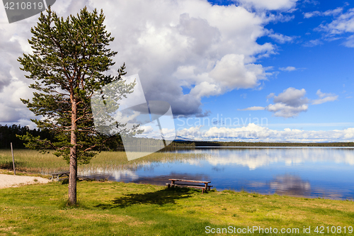 Image of picnic area