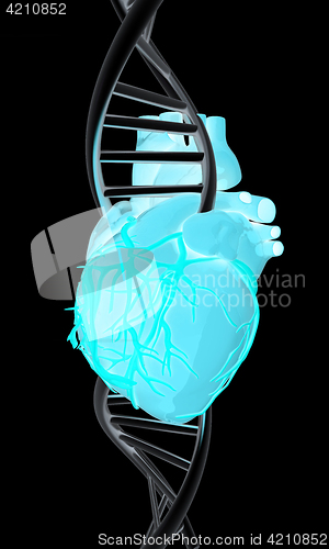 Image of DNA and heart. 3d illustration