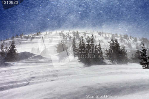 Image of Blizzard in snow winter mountains