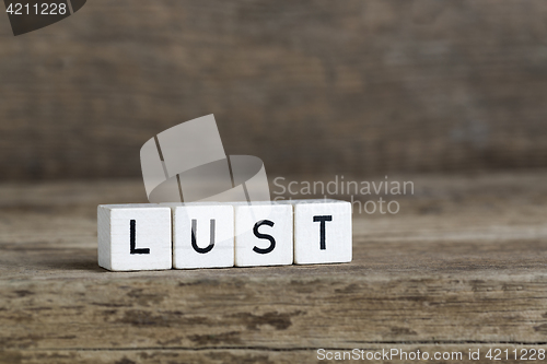 Image of Lust, written in cubes