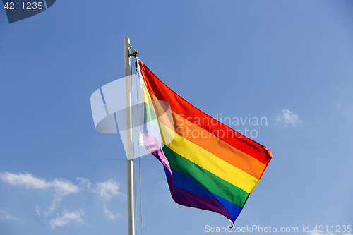 Image of Rainbow flag on a flagpole