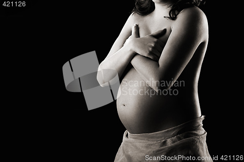 Image of Pregnancy