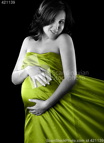 Image of Pregnancy
