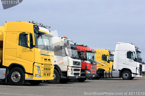 Image of Line Up of Colorful Semi Trucks