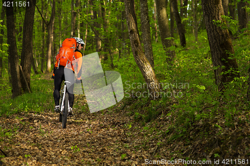 Image of healthy lifestyle and fitness concept with mount bike man outdoor