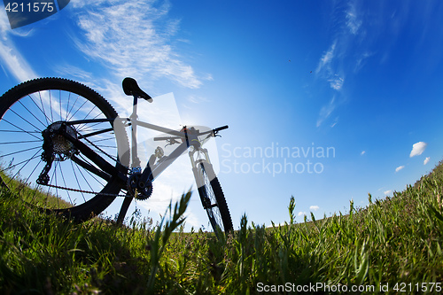 Image of bicycle in meadow during sunset