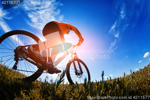 Image of Cyclist on the Beautiful Meadow Trail