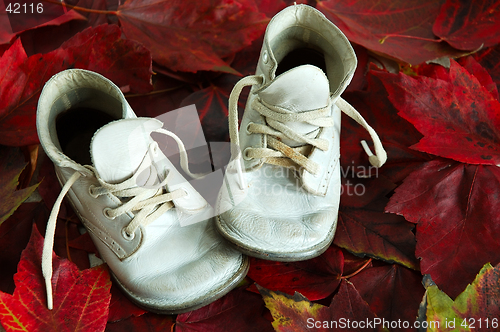 Image of Baby Shoes and Fall Leaves