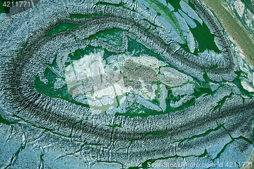 Image of Blue-green algae on a lake in denmark