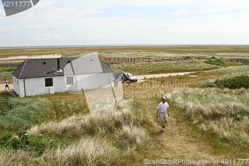 Image of House and horses in a Danish landscapes in the summer