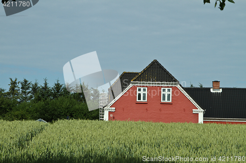 Image of Red house in Danish landscapes in the summer