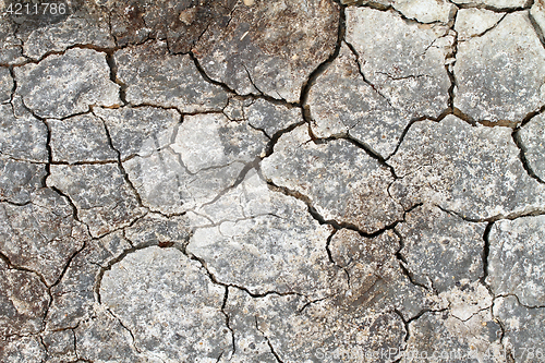 Image of Cracked earth in a Danish landscapes in the summer