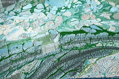 Image of Blue-green algae on a lake in denmark