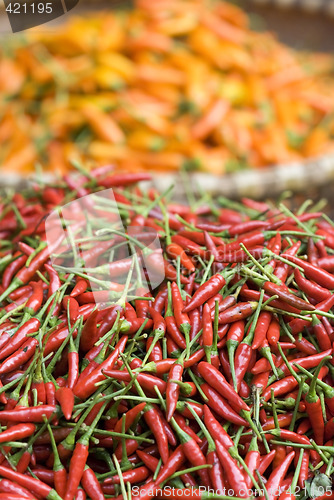 Image of Red and yellow chilipepper