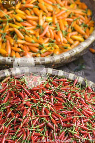 Image of Red and yellow cilipepper