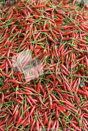 Image of Red, hot chilipepper