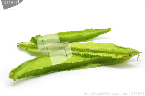 Image of Winged beans on white background