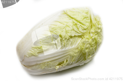 Image of Nappa cabbage isolated