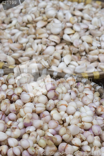 Image of Baskets with garlic