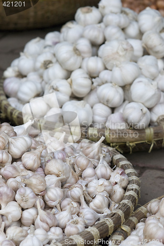 Image of Garlic at a market