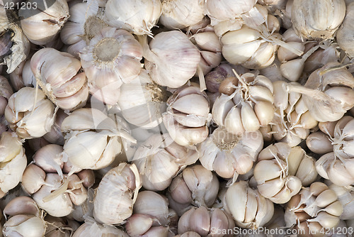 Image of Garlic at a market