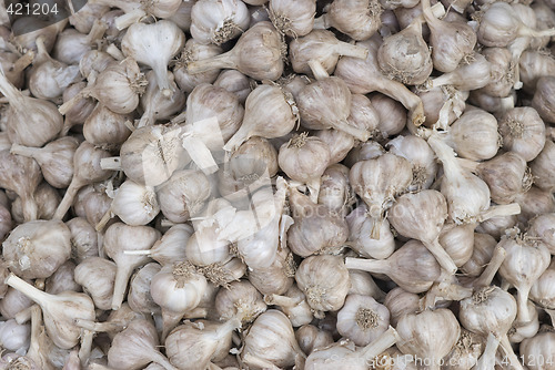 Image of Garlic background