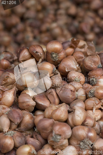 Image of Shallots at a market