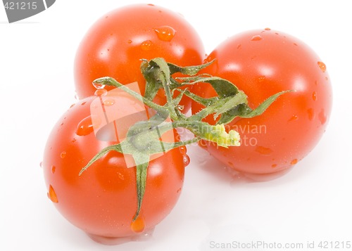 Image of Tomatoes
